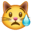 Плачеща котка Whatsapp U+1F63F