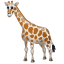 Жираф емоджи U+1F992